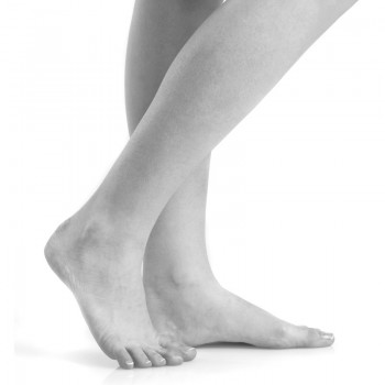 Leg - Knee - Ankle - Foot
